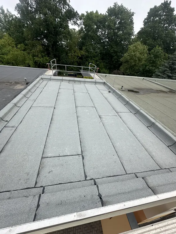 BV Dessau Großring Sanierung